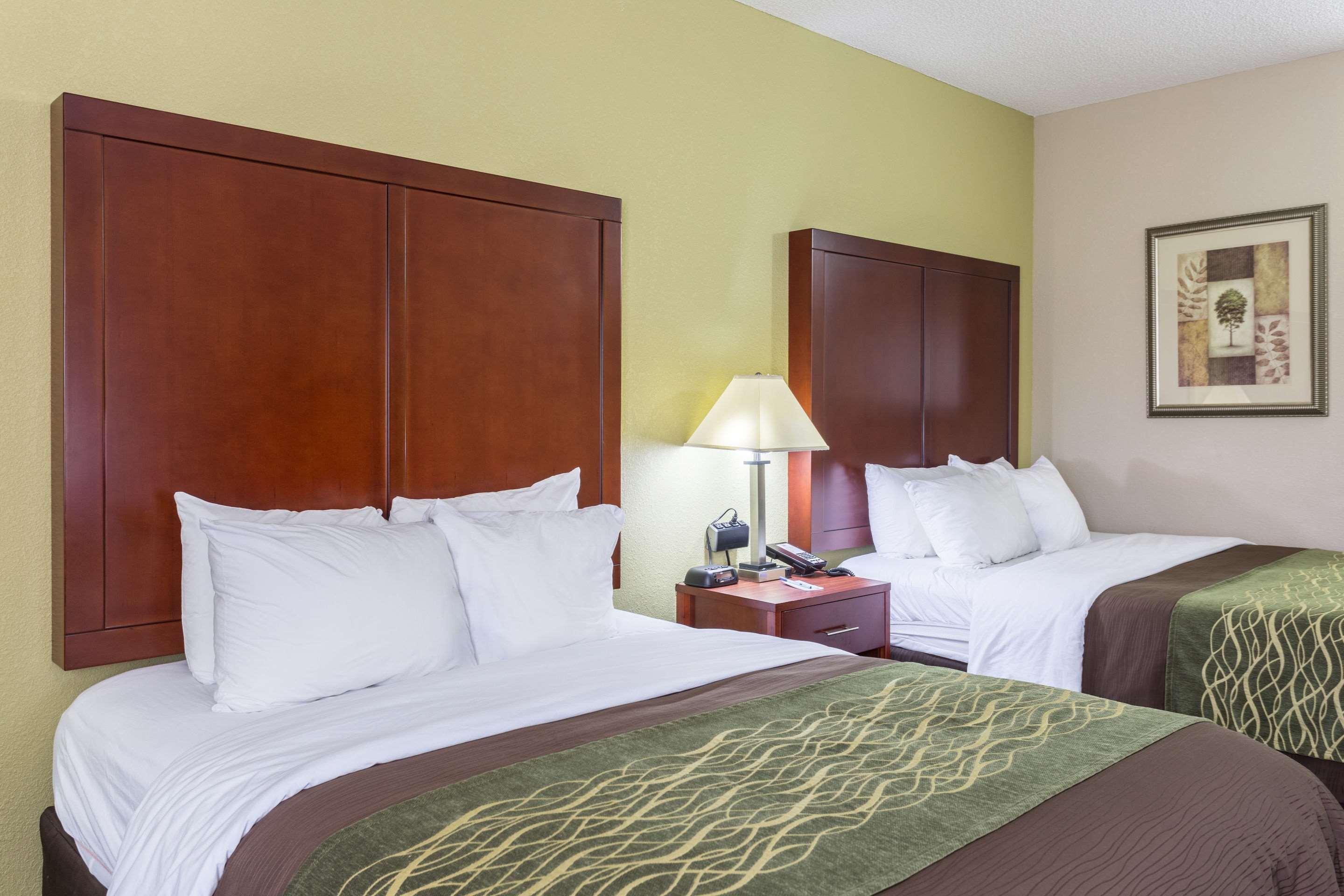 Comfort Inn Decatur Priceville Exteriér fotografie