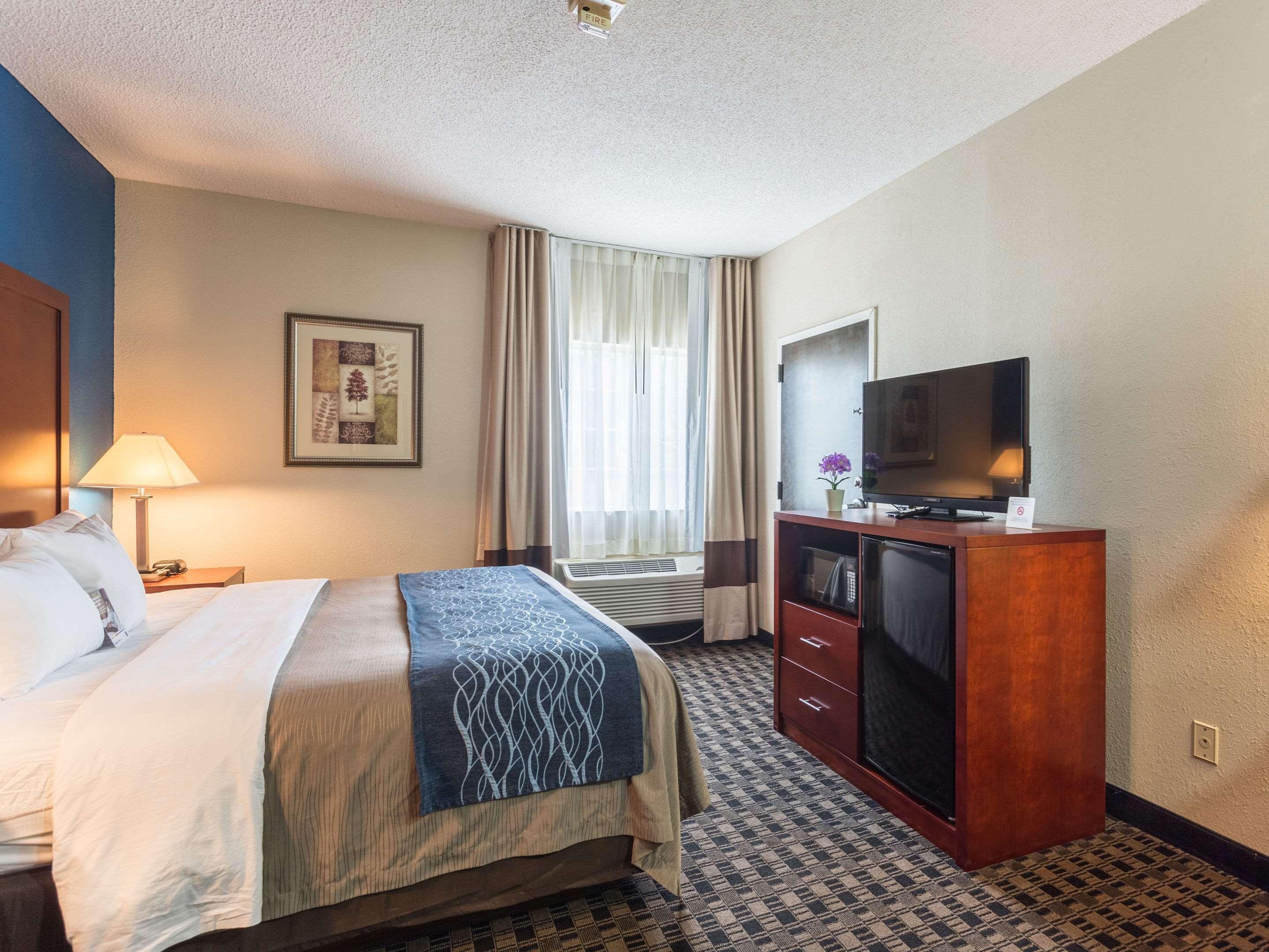 Comfort Inn Decatur Priceville Exteriér fotografie